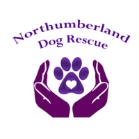Northumberland Dog Rescue